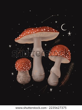 magical forest elements. images of a snake, night moth, fly agaric mushrooms, plant and space elements. Ideal for printing on fabric or clothing, wallpaper and wrapping paper