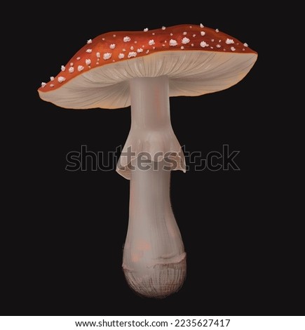 magical forest elements. images of a snake, night moth, fly agaric mushrooms, plant and space elements. Ideal for printing on fabric or clothing, wallpaper and wrapping paper