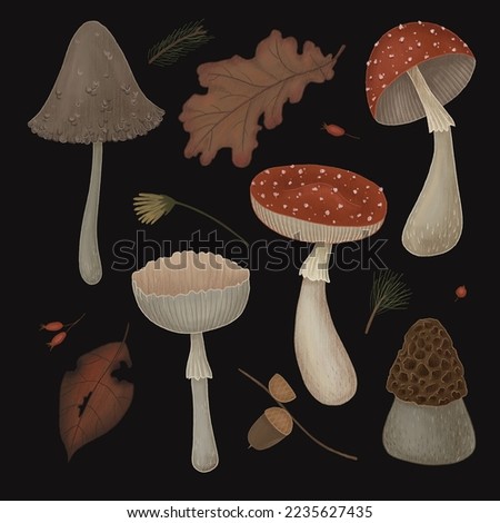 magical forest elements. images of a snake, night moth, fly agaric mushrooms, plant and space elements. Ideal for printing on fabric or clothing, wallpaper and wrapping paper