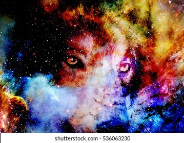 Galaxy Wolf Hd Stock Images Shutterstock