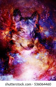 lobo espacial mágico 