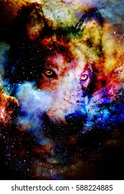 102 Galaxy wolf face Images, Stock Photos & Vectors | Shutterstock