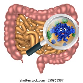 Magnifying Glass Focused On The Human Digestive System, Digestive Tract Or Alimentary Canal Showing A Good Happy Probiotic Bacteria Gut Flora Mascot Cartoon Character. 
