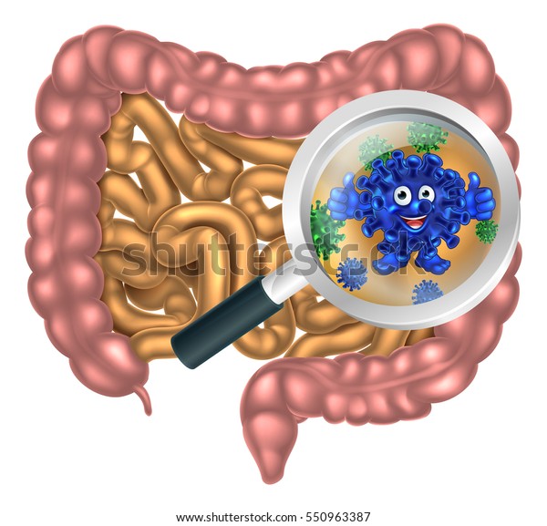 虫眼鏡は 人間の消化器系 消化管 消化管にフォーカスを当て 幸せな共生細菌の腸内細菌叢のマスコット漫画のキャラクターを表している のイラスト素材