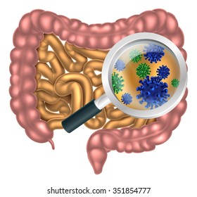 Magnifying Glass On Human Digestive System, Digestive Tract Or Alimentary Canal Showing Bacteria Or Virus Cells. Pos. Good Bacteria Or Gut Flora Like That Encouraged By Pro Biotic Products And Foods