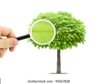 A Magnifying Glass With Tree On A Background