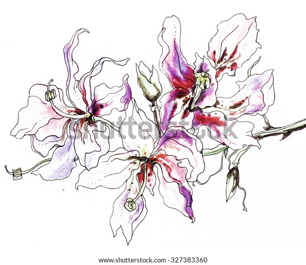 Illustration De Stock De Fleur Tropicale De Magnolia En