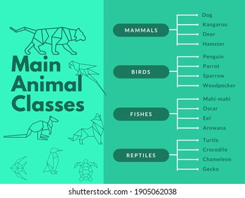 Main Animal Classes In Chart For Education 