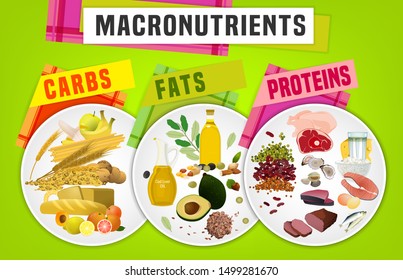 Main food groups - macronutrients. Carbohydrates, fats and proteins in comparison. Dieting, healthcare and eutrophy concept. The illustration on a bright background. Landscape poster.