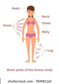 Photos Female Human Body Parts : Women Body Parts Name With Picture And