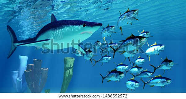 Mako Shark Apres L Illustration 3d Du Illustration De Stock