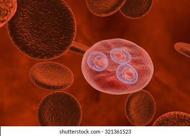 Malaria. Plasmodium Vivax In Early Trophozoite Ring Stage Inside Red Blood Cell