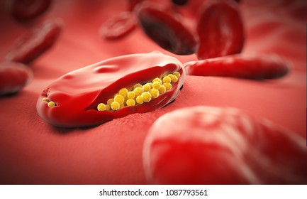 Malaria Virus Cell - 3D Illustration