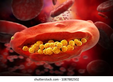 Malaria Virus Cell - 3D Illustration