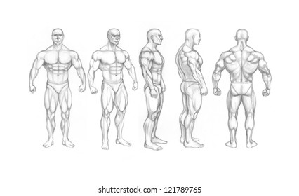 Similar Images, Stock Photos & Vectors of human body anatomy, vector