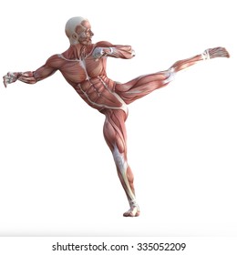 Male body without skin in a fighting pose.