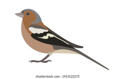 Cartoon Robin Bird Sitting On Tree Stock Vector (Royalty Free) 1596861208