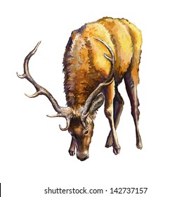 Male Deer Oil Painting, Painted Tablet