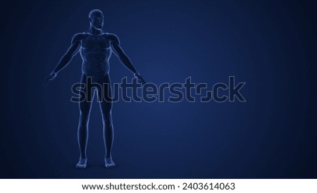 Male Endocrine System or Muscarinic acetylcholine receptor 3d illustration Stock photo © 