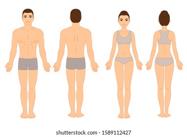 Male and female body chart, front and back view, naked in underwear. Blank human body template for medical infographic. Stylized color clip art illustration.
