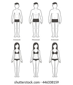 Diagram male and female body Royalty Free Vector Image