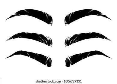 Male Female Eyebrows Different Shapes Types Stock Vector (Royalty Free ...