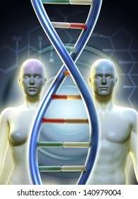 Male And Female Human Figures Linked By A Dna Chain. Digital Illustration.