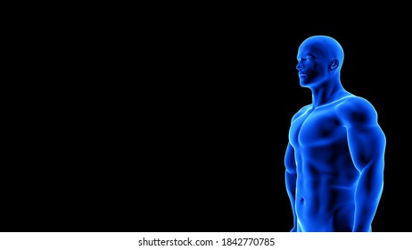 Male Fitness Body - Muscle Mass Building Illustration On Black Background