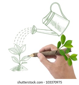 Male Hand Drawing Green Plant And Watering Can.