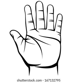 Male Hand Palm Stock Illustration 167132795 | Shutterstock