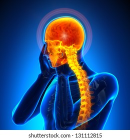 Male Head Pain - Spine Problem Anatomy concept