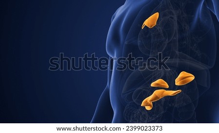 Male muscarinic acetylcholine receptor endocrine system 3d illustration Stock photo © 