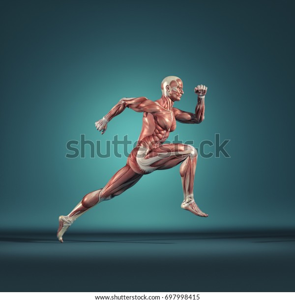 男性の筋肉系が走っている これは3dレンダリングイラストです のイラスト素材