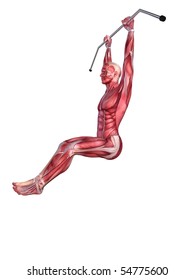 Male Workout - Hanging Leg Raises