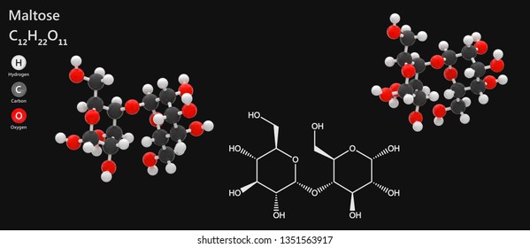 maltose-molecular-formula-c12h22o11-dextrodisaccharide-malt