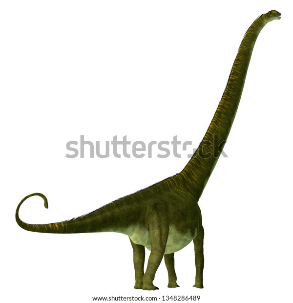 Mamenchisaurus Hochuanensis Dinosaur Tail 3d Illustration Stock ...