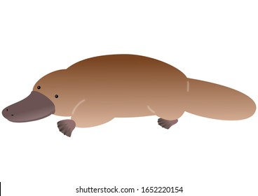 Mammal Platypus With A Beak