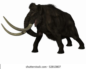 Mammoth