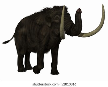 Mammoth