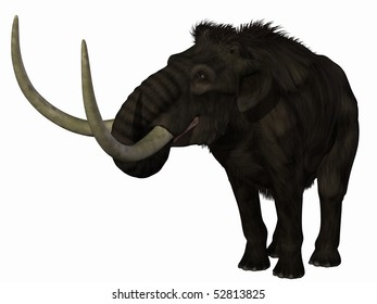 Mammoth