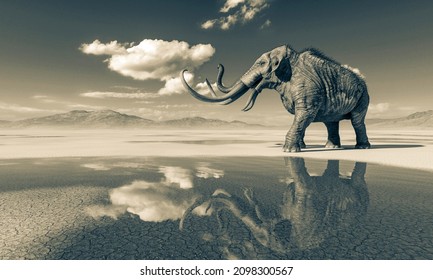 972 Mammoth desert Images, Stock Photos & Vectors | Shutterstock