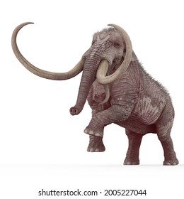 mamut está enfadado en fondo blanco, ilustración 3d