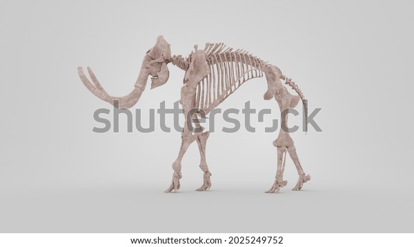 Mammoth skeleton fossil 3d rendering science\
paleontology\
illustration
