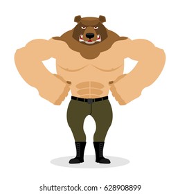 comic muscle bear