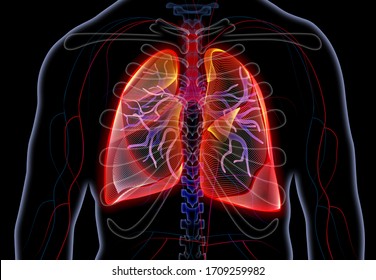 Man with diseased lungs on black background. Illustration. 3D