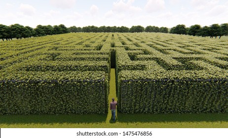 Man Walking Into Big Labyrinth 3D Rendering