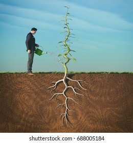 Man Watering With Sprinkler A Beanstalk.This Is A 3d Render Illustration.