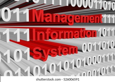 99 Mis System Stock Illustrations, Images & Vectors | Shutterstock