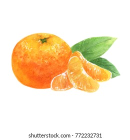 Mandarin. Watercolor. Fruit.