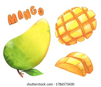 Mango Fruit And Mango Slice Watercolor Painting. Clipart On White Background. Decorative Illustration, Cute Stickers And Pattern.